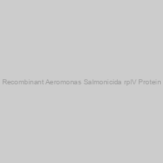 Image of Recombinant Aeromonas Salmonicida rplV Protein